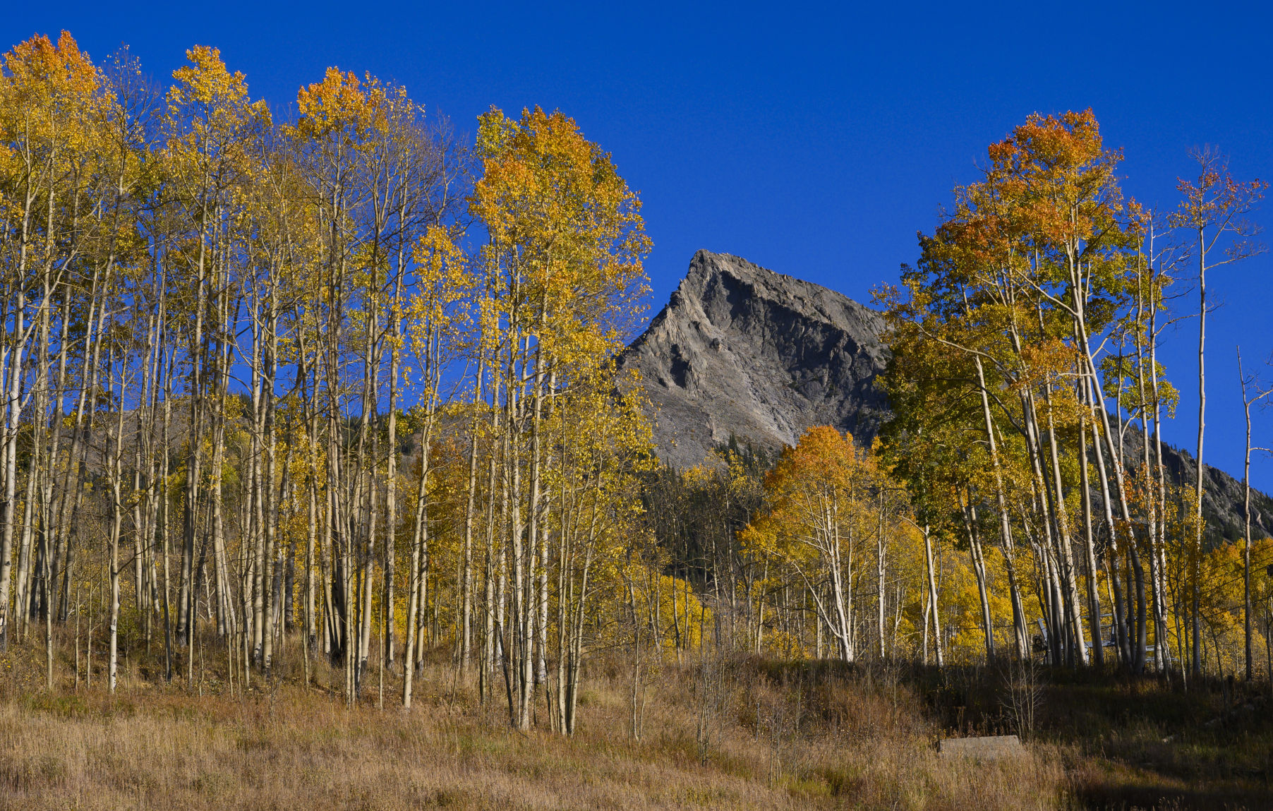 10_06_19 crested butte0319.JPG